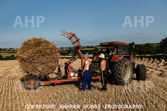 Thatching Reed Harvest 2018_HOB_0332