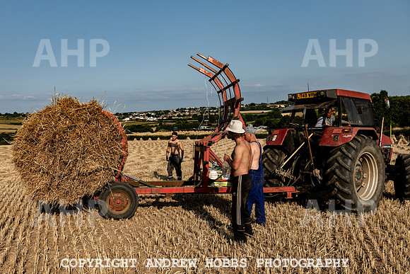 Thatching Reed Harvest 2018_HOB_0333