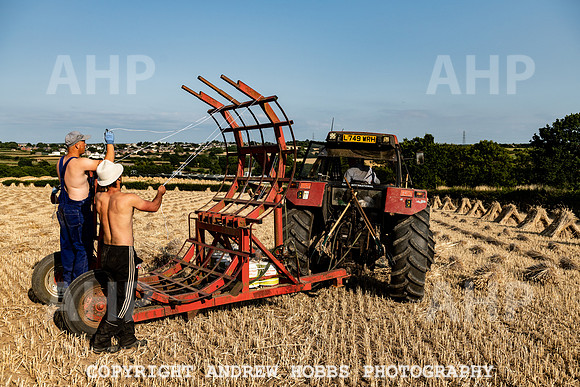 Thatching Reed Harvest 2018_HOB_0337