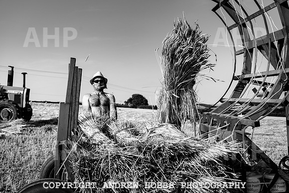 Thatching Reed Harvest 2018_HOB_0350