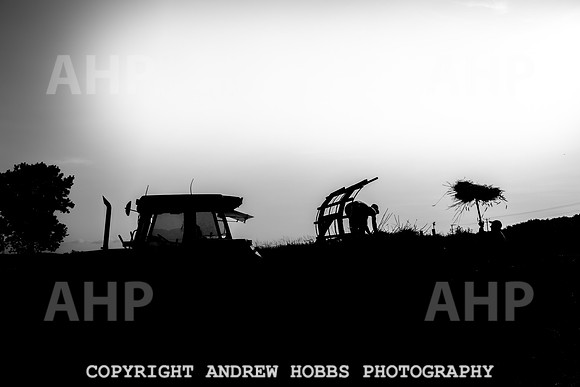 Thatching Reed Harvest 2018_HOB_0375