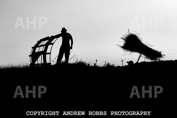 Thatching Reed Harvest 2018_HOB_0376