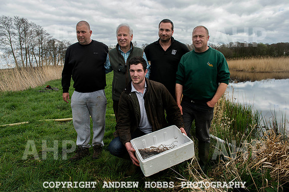 Elver release Catcott Reserve 009