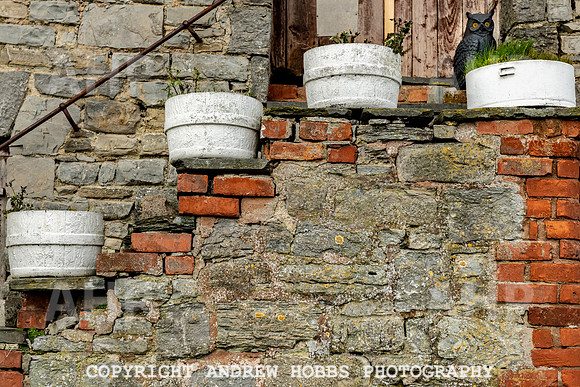 Pam Bosley Feb 2019_HOB_4405