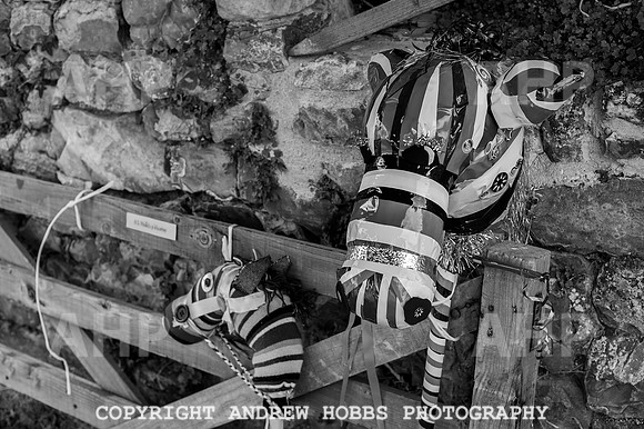 Wambrook Flower Show Centenary 151