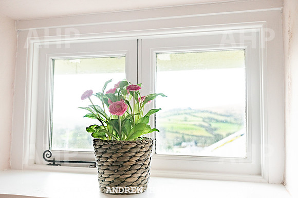 Middle Leys - Leys Cottages_HOB_4740