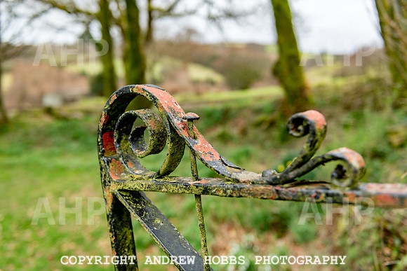 Lower Leys - Leys Cottages_HOB_4949