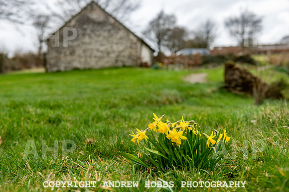 Lower Leys - Leys Cottages_HOB_4956