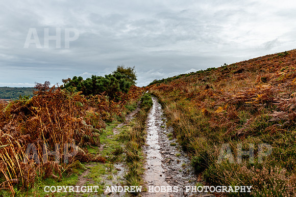 Webbers Post Walk EM Feb 2019_HOB_0164