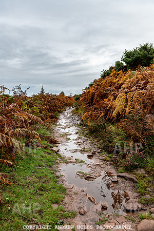 Webbers Post Walk EM Feb 2019_HOB_0168