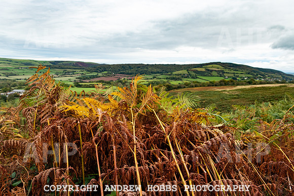 Webbers Post Walk EM Feb 2019_HOB_0186