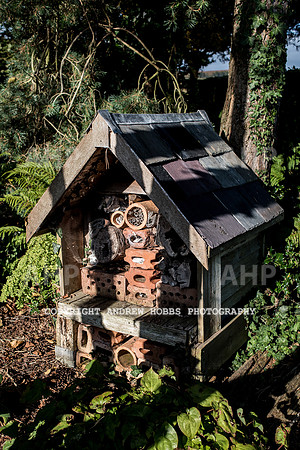 Vellacott Garden 2016-3541