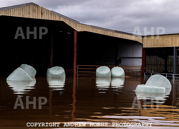 Family farm floods in Somerset, UK
