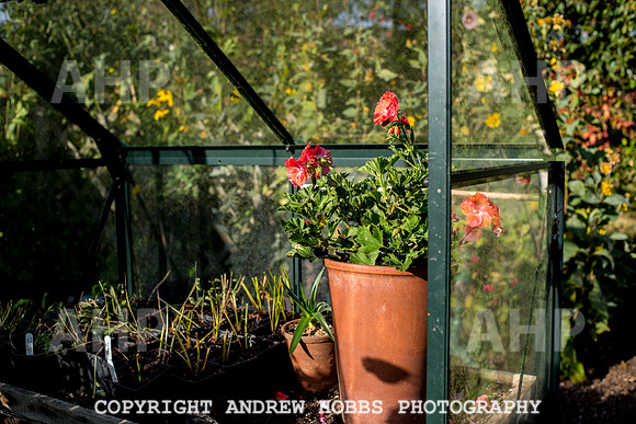 Vellacott Garden 2016-3536