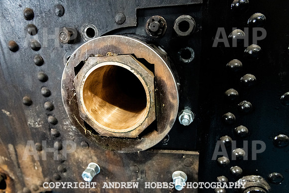 Mike White_HOB_0004