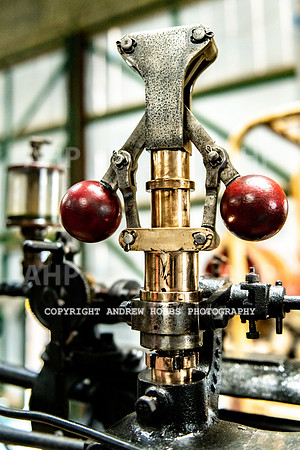 Mike White_HOB_0011
