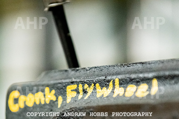 Mike White_HOB_0014