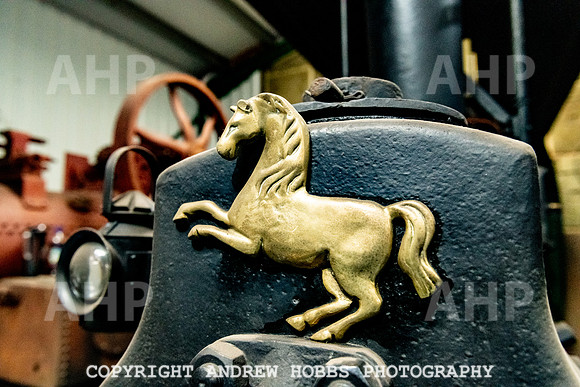 Mike White_HOB_0034