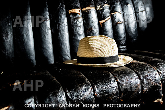 Mike White_HOB_0058
