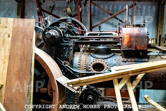 Mike White_HOB_0115