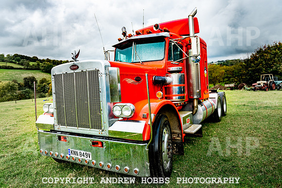 Mike White_HOB_0117