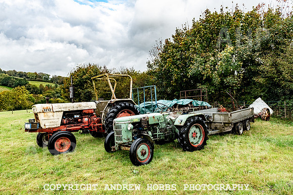 Mike White_HOB_0123