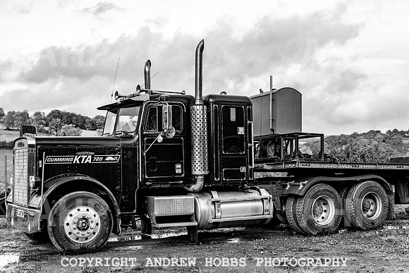 Mike White_HOB_0150