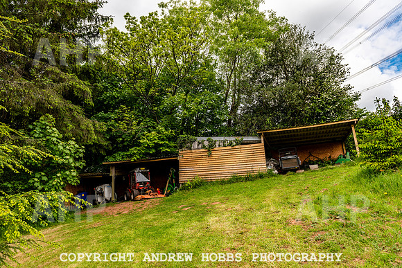 Wellhayes Vineyard May 2019_HOB_6383