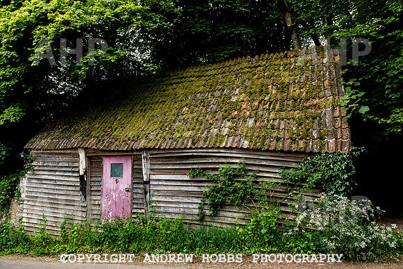 Wellhayes Vineyard May 2019_HOB_6387
