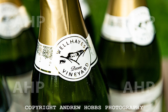 Wellhayes Vineyard May 2019_HOB_6401