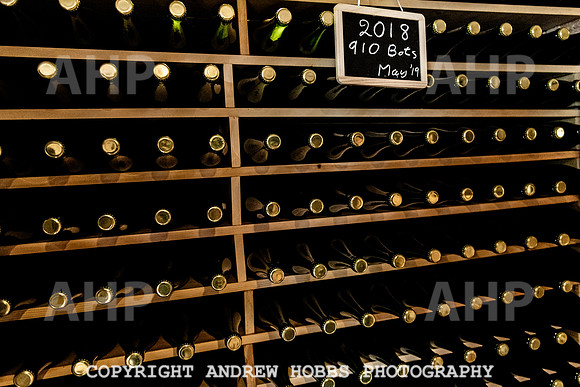 Wellhayes Vineyard May 2019_HOB_6427