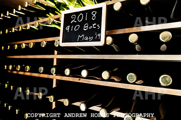Wellhayes Vineyard May 2019_HOB_6430