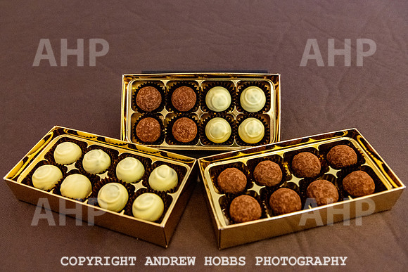 Wellhayes Vineyard May 2019_HOB_6459