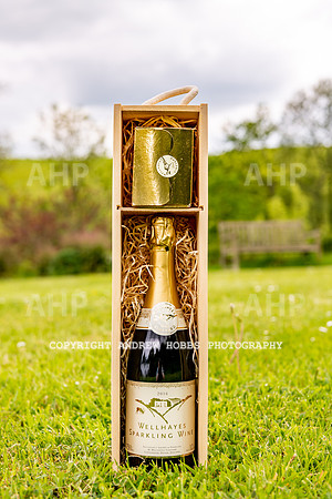Wellhayes Vineyard May 2019_HOB_6484