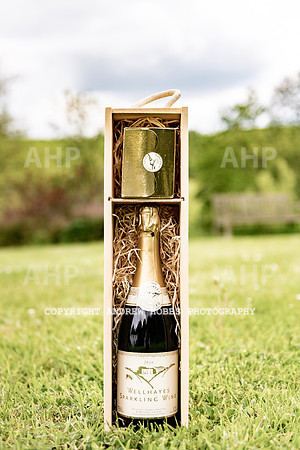 Wellhayes Vineyard May 2019_HOB_6485