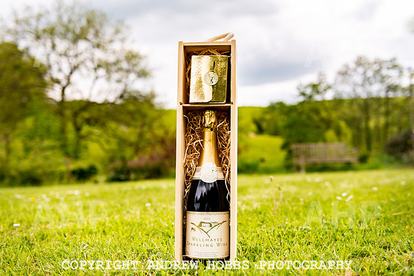Wellhayes Vineyard May 2019_HOB_6486