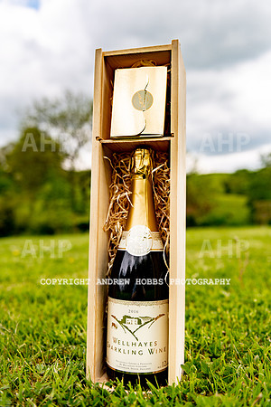 Wellhayes Vineyard May 2019_HOB_6487