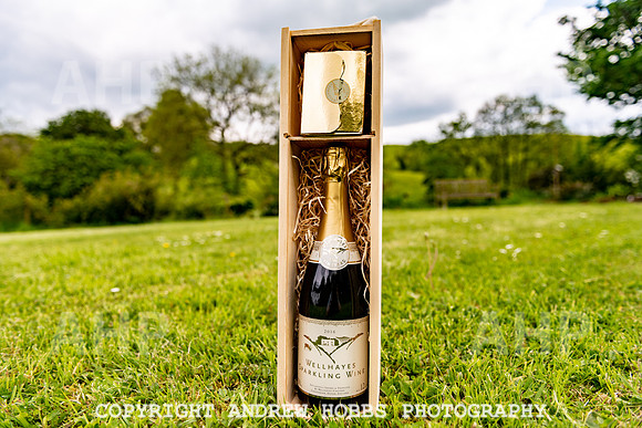 Wellhayes Vineyard May 2019_HOB_6488