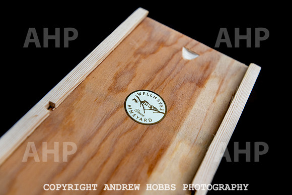 Wellhayes Vineyard May 2019_HOB_6523