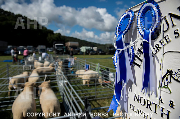 Dunster Show 2014 003