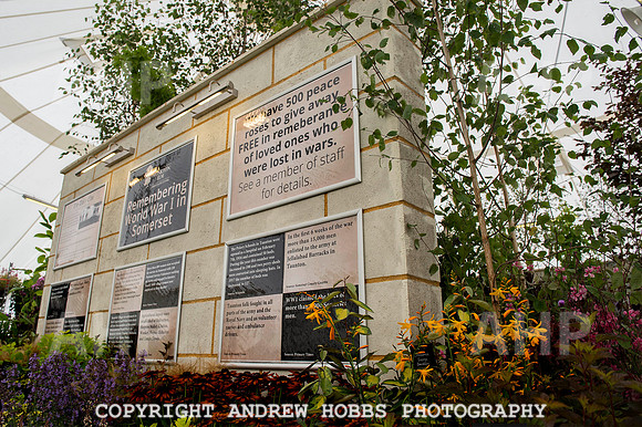 Taunton Flower Show 2014 016