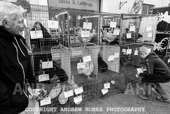Bampton Charter Fair 2021-8040