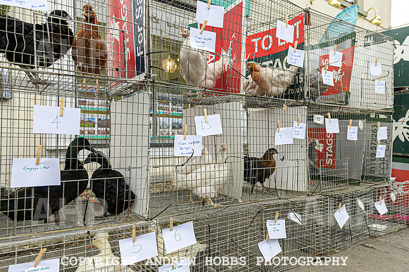 Bampton Charter Fair 2021-8044