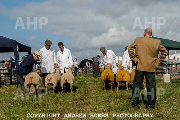 North Devon Show 2014 002