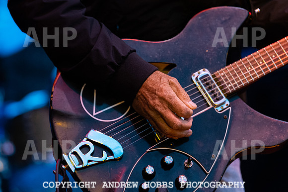 Chagstock Music Festival 2019_AHP_6074