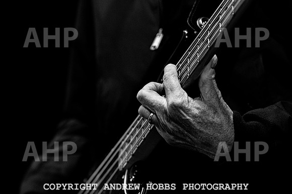 Chagstock Music Festival 2019_AHP_6082
