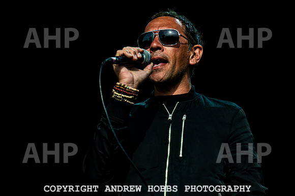 Camp Bestival 2019-6635