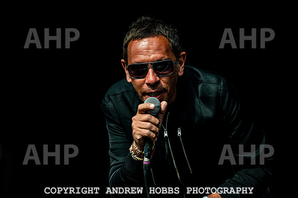Camp Bestival 2019-6631
