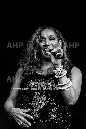 Camp Bestival 2019_AHP_8852