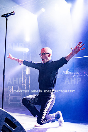 Camp Bestival 2019_HOB_2649
